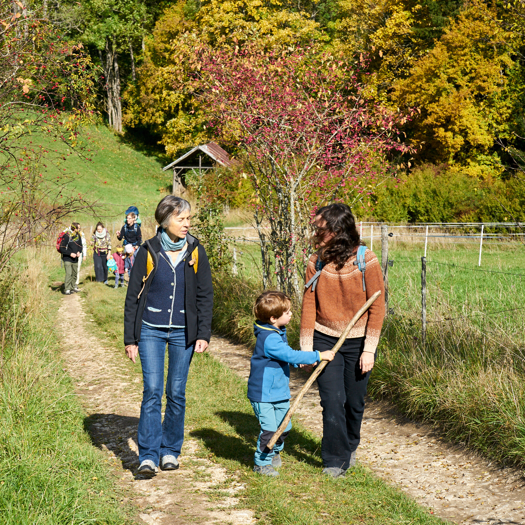 Herbstwanderung rund um Beuron (Bild: Wohnprojekt KonstanzI
